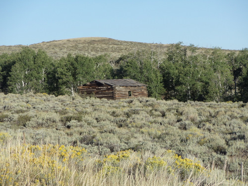 Old Homestead Log Cabin